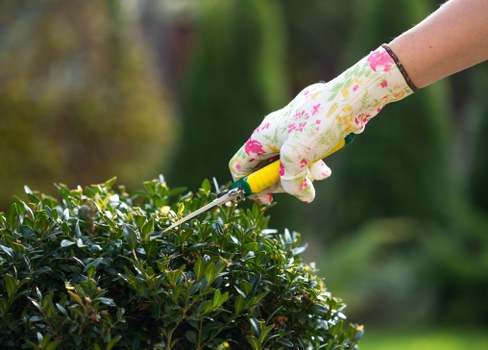 Lawn mowing service keeping a garden neat in Addiscombe