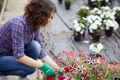 Low-maintenance planting and patio features for a garden renovation in Addiscombe