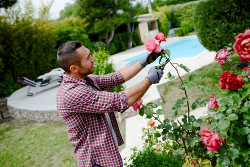 Modern slavery prevention statement for Landscapers Addiscombe