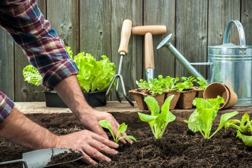 Healthy residential lawn care in Addiscombe
