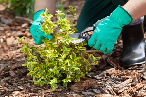 Local transfer station handling green waste and rubble for recycling