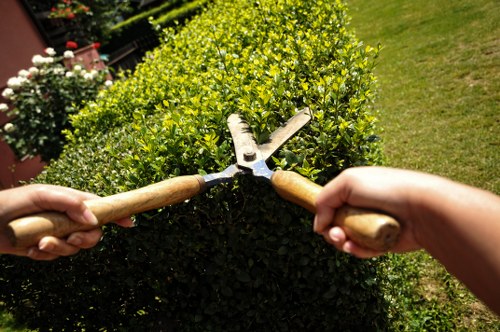 Safe and tidy landscaping rubbish removal service in Addiscombe