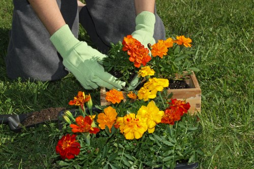 Cookie notice and control options on a landscaping website