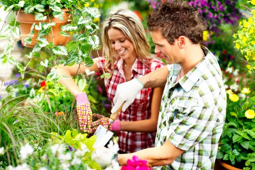 Local pricing for Addiscombe garden clearance and rubbish collection