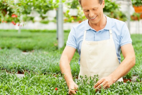 Autumn lawn maintenance with leaves in Addiscombe