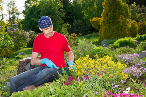 Service issue assessment for a local landscaper