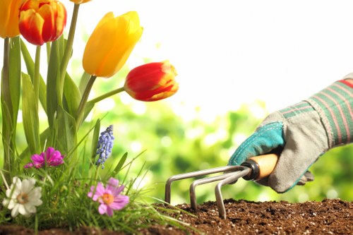 A local landscaping team planning a garden makeover in Addiscombe