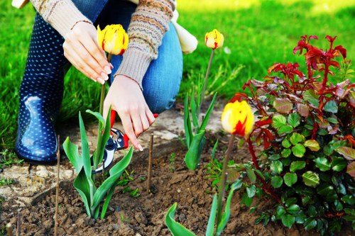 Seasonal garden care in Addiscombe with healthy planting beds