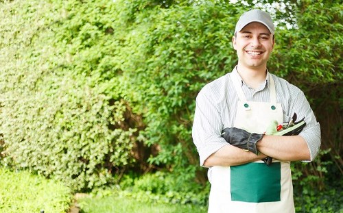 Crew managing waste and garden materials during landscaping work