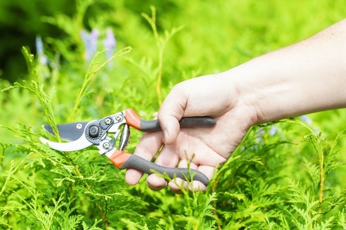Repairing bare patches during lawn care in Addiscombe