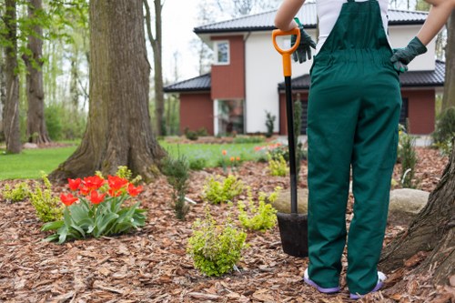 Professional planting services in Addiscombe preparing soil and garden beds