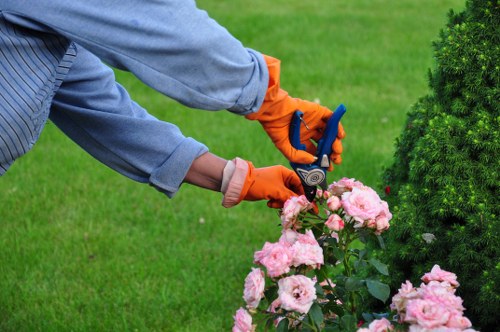 Professional garden clearance and waste removal in Addiscombe