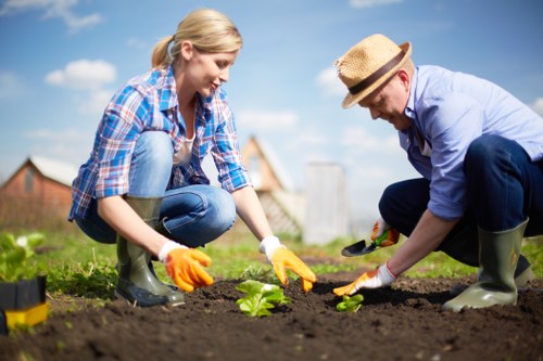 Professional garden upkeep and pruning in Addiscombe