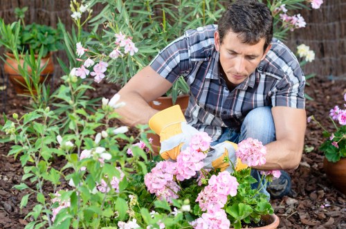 Professional grass cutting and edging in Addiscombe